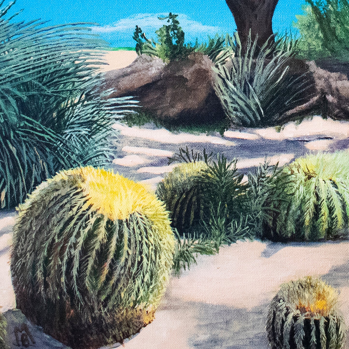 Desert Original Art