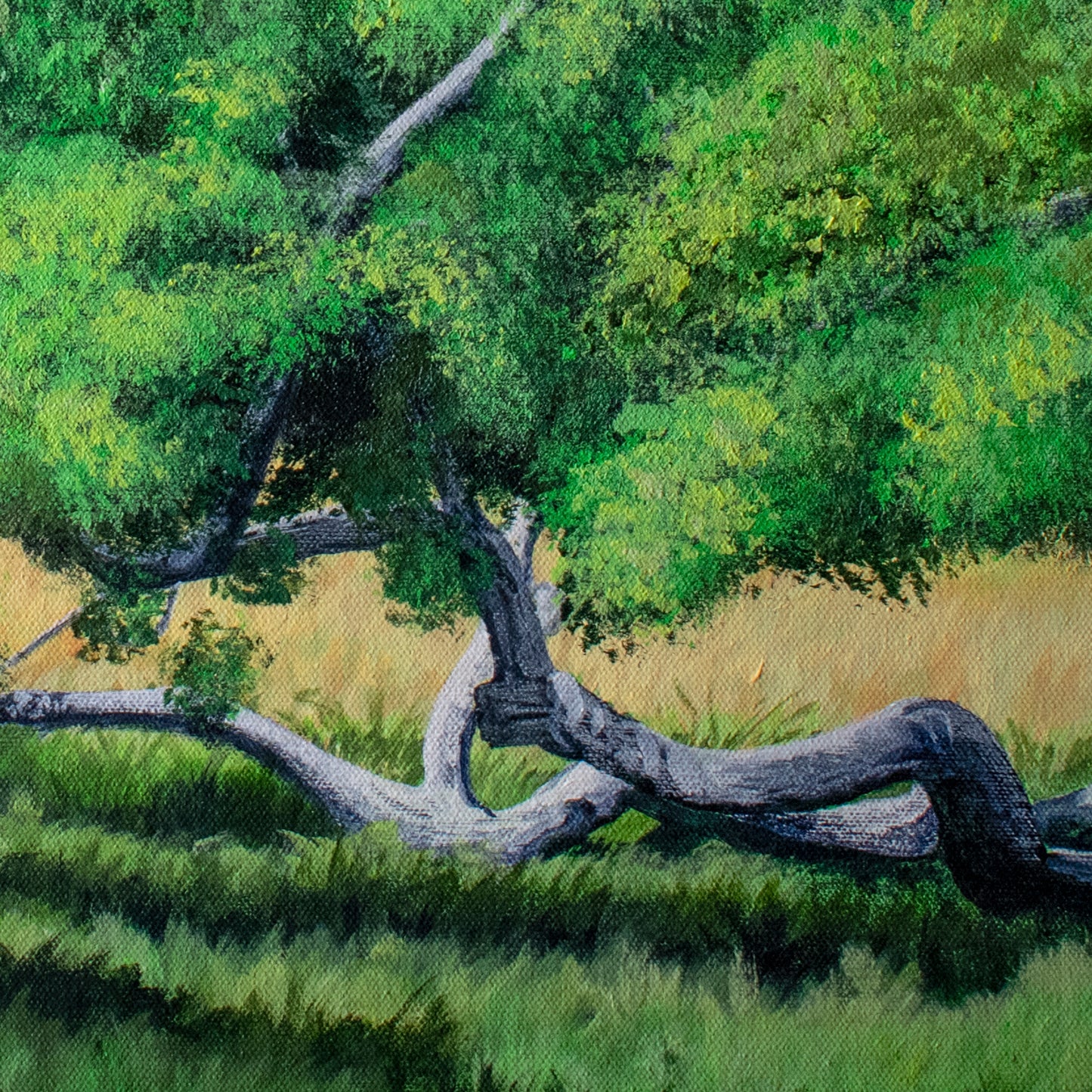 Tree Original Art